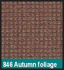 846 Autumn Foliage